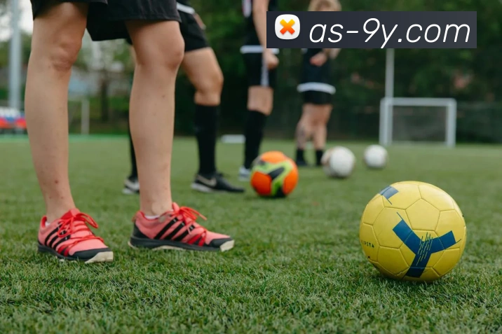 九游官网平台生态图