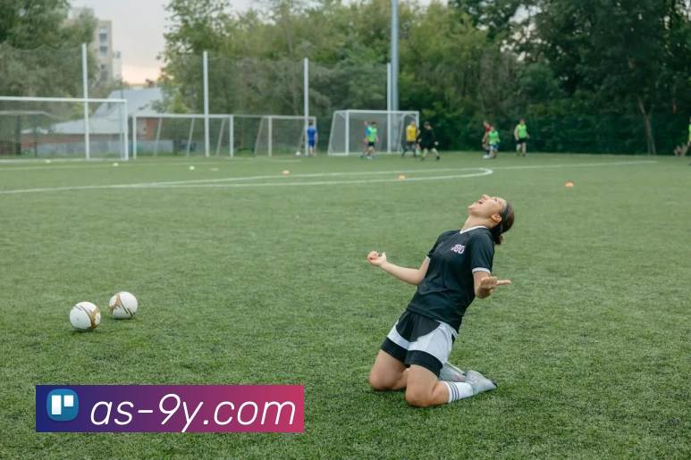 九游官网APP 封面图