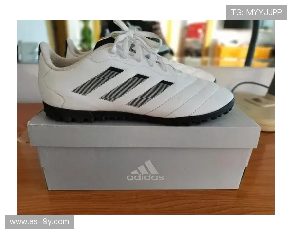 秋季实惠高性价比足球鞋精选大全与入手省钱搭配使用攻略推荐全方位